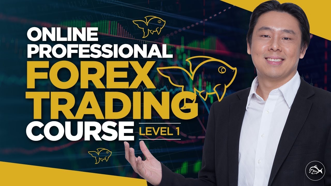 professional forex trading course lesson 3 by adam khoo