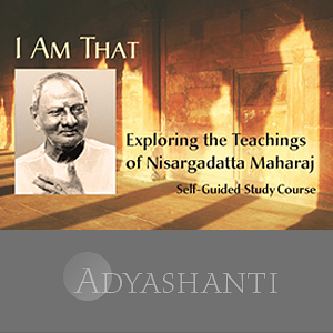 Adyashanti - I AM THAT Study Course