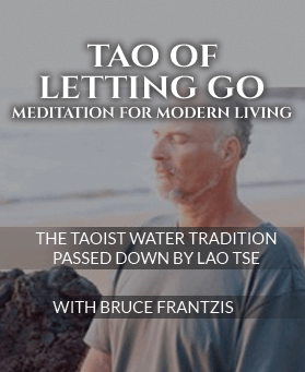 Bruce Frantzis - The Tao of Letting Go