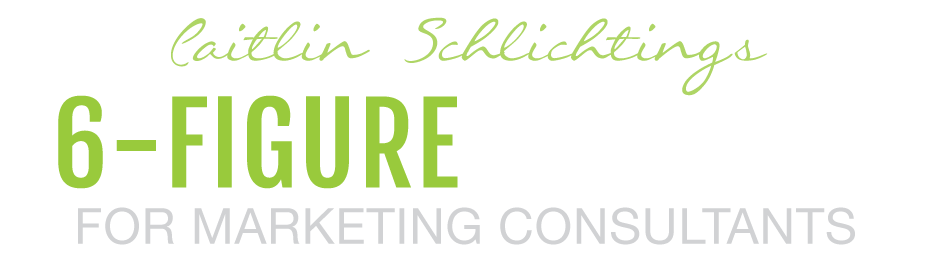 Caitlin Schlichting - 6 Figure Marketing Consultant