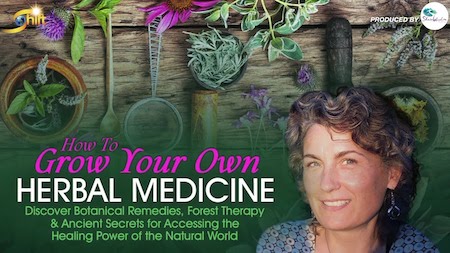 Chanchal Cabrera - Growing Your Own Herbal Medicine