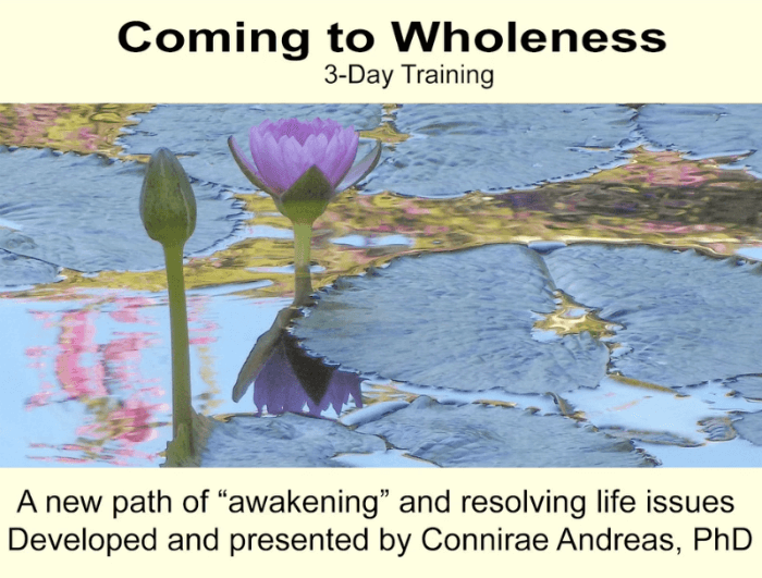 Connirae Andreas - 3 Days Wholeness Process HQ