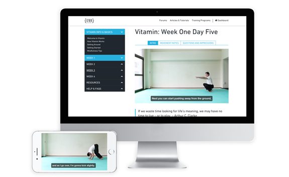 Vitamin program on mobile and desktop