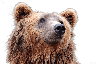 ReadySetCrypto - Live Webinar Bear Market Survival