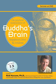 /images/uploaded/1019/Rick Hanson - Buddha’s Brain.jpg