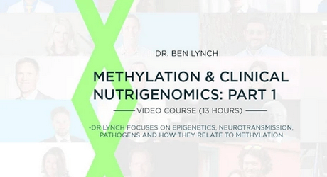 SHEI: Methylation & Clinical Nutrigenomics, Pt. 1 (1/2)