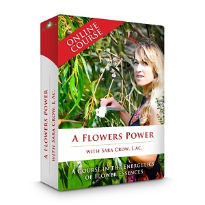 Sara Crow - A Flowers Power - A Course In The Energetics Of Flower Essences