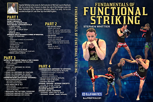 Stephen Whittier - Fundamentals of Functional Striking