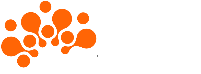 Brain Learns