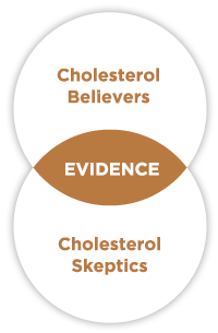 Cholesterol Believers and Skeptics venn diagram with evidence in the middle