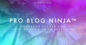 Gabriela Higa - Pro Blog Ninja™