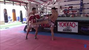 Manachai - Thai Boxing Low Kicks 