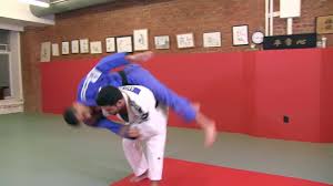 Sagi Muki - Power Judo