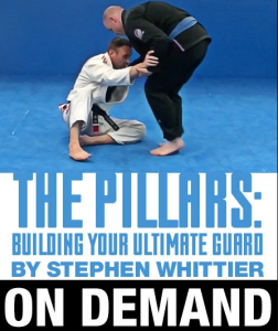 Stephen Whittier - The Pillars Building Your Ultimate Guard Game