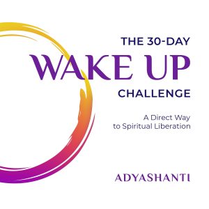 Adyashanti - The 30-Day Wake Up Challenge - A Direct Way to Spiritual Liberation