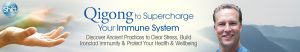 Lee Holden - Qigong to Supercharge Your Immune System