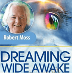 Robert Moss - Dreaming Wide Awake