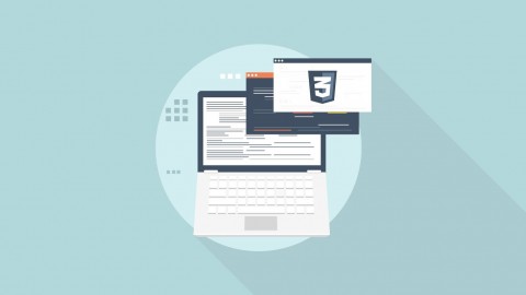 Stone River eLearning - Certification Exam - Fundamentals of CSS and CSS3