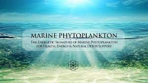Eric Thompson - Marine Phytoplankton