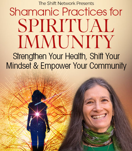 Sandra Ingerman - Shamanic Practices for Spiritual Immunity