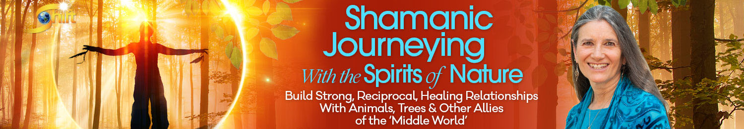  Sandra Ingerman - Shamanic Journeying With the Spirits of Nature