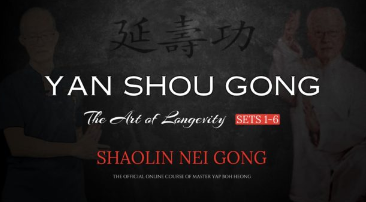 Yan Shou Gong – The Art of Longevity (Sets 1-6) Shaolin Nei Gong