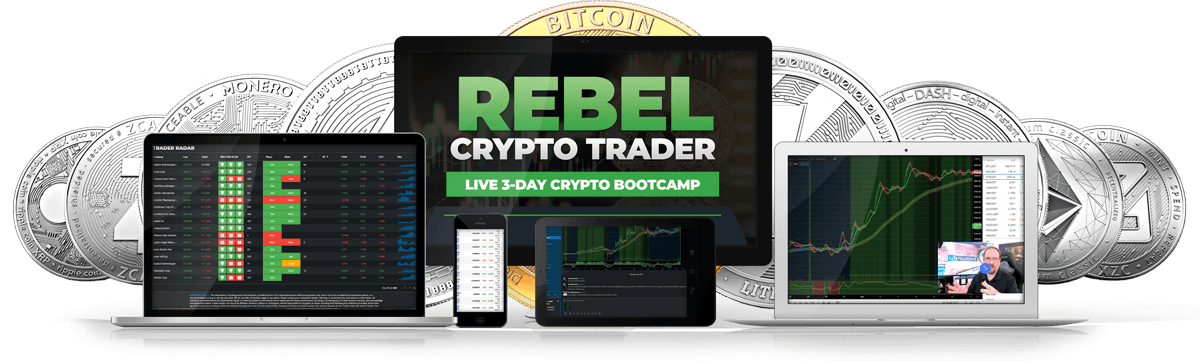 Rebel Crypto Trader Mentorship Program