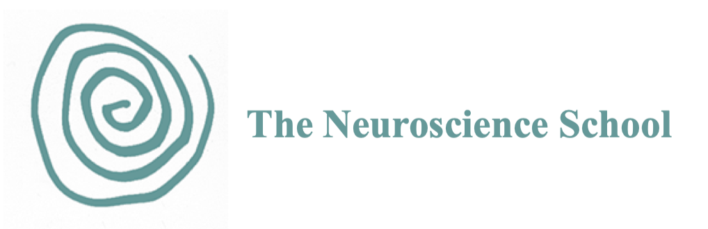 The Neuroscience School - Work with Your Brain, Not against Your Brain Part 2