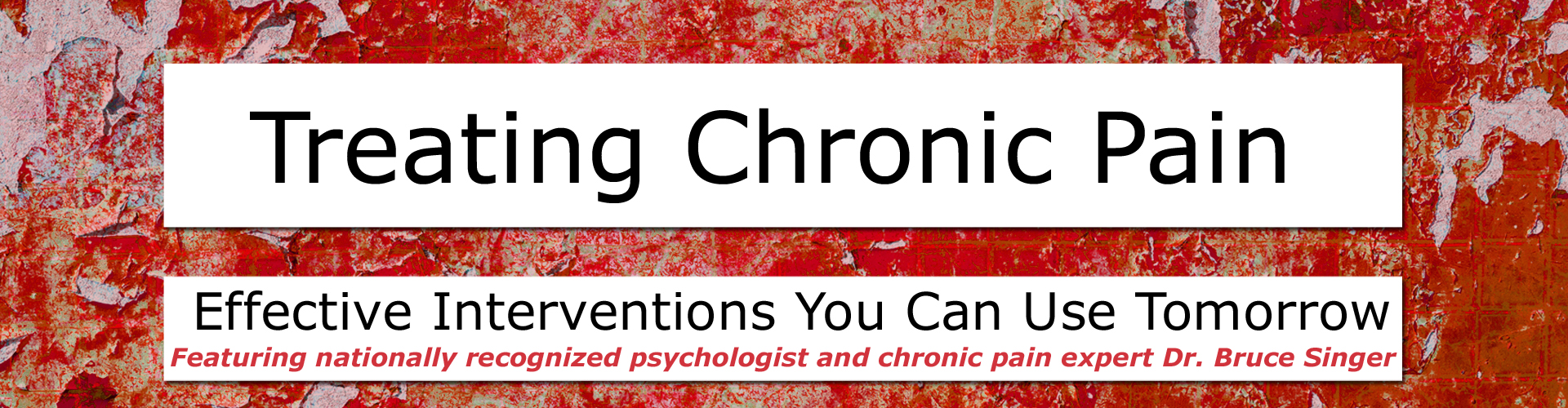 Bruce Singer - Treating Chronic Pain: Effective interventions you can use tomorrow